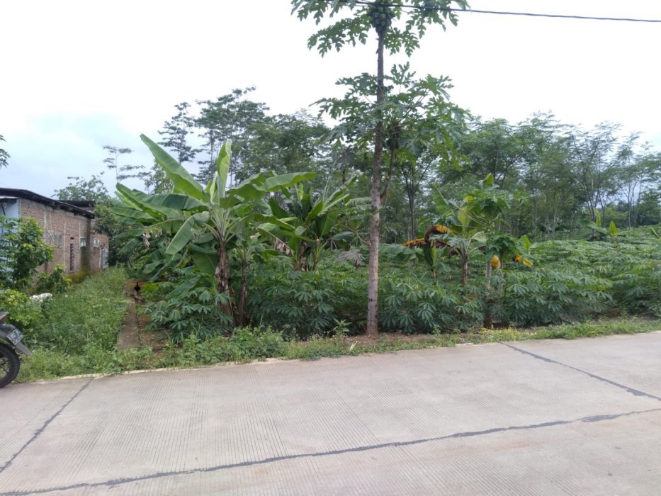 Tanah murah pinggir jalan besar, jl Kabupaten di Kab. Batang