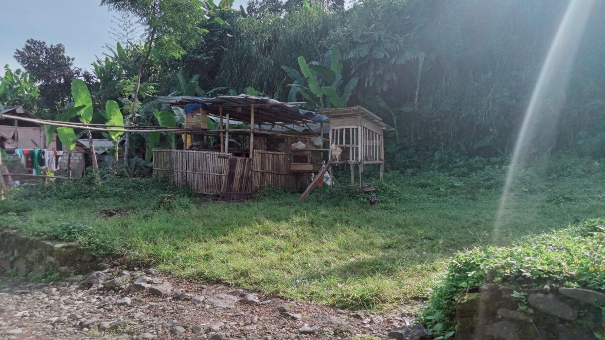 Jual tanah lokasi ciapus gang Erfah