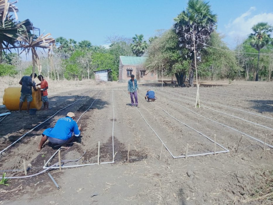 Jual Tanah Murah Di Lembata NTT