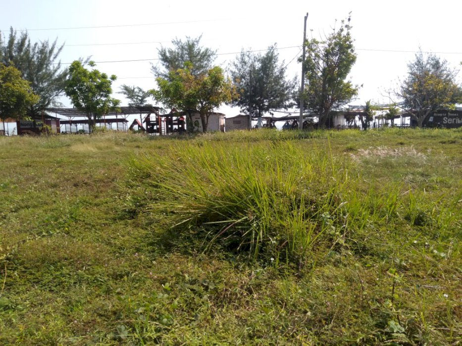 TURUN HARGA BU, TANAH PINGGIR JALAN PANTAI, AKSES KONTAINER 40 FT