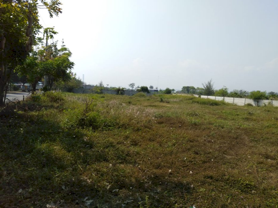 Tanah rata pinggir jalan pantai