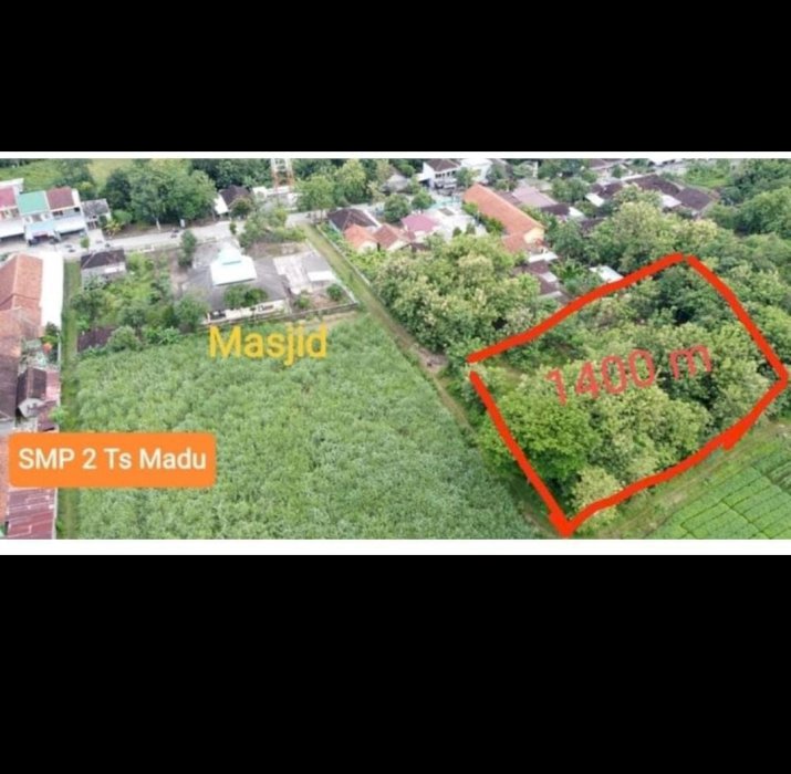 Tanah  jati 25 tahun buat masa depan kita? Ya saya yaqin strategis