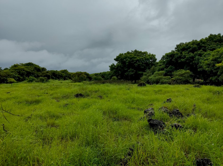 JUAL TANAH KOMERSIL DI KUPANG