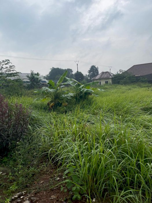 Di Jual Tanah Luas dan Murah