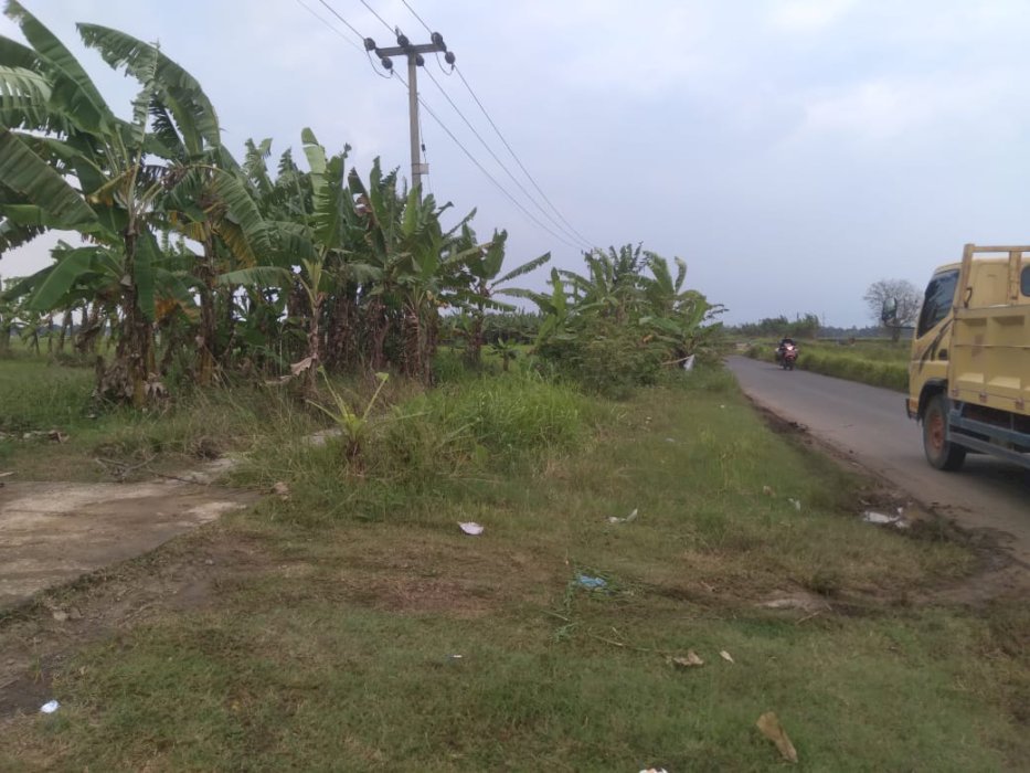 setuju ambil tanah di hadapan SDN 3 cipaat? Cek dulu