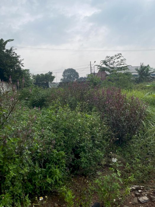 Dijual Lahan Tidur Zona Kuning Cileungsi