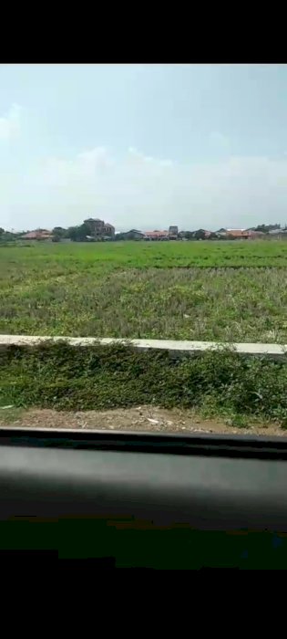 DI JUAL TANAH SELUAS 4 HEKTAR DI CIREBON