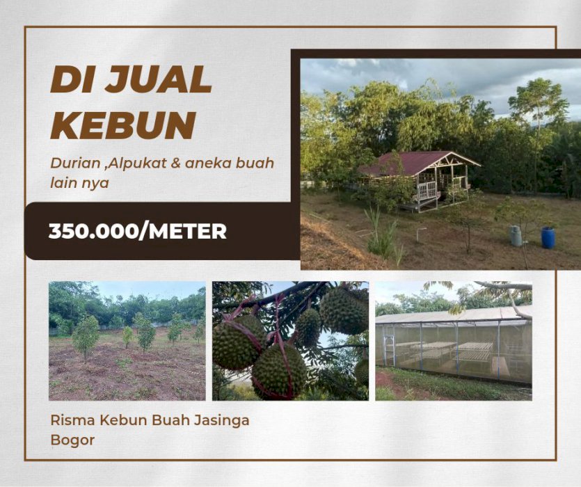 DIJUAL MURAH  KEBUN DURIAN MUSANG KING ALPUKAT DLL JASINGA BOGOR