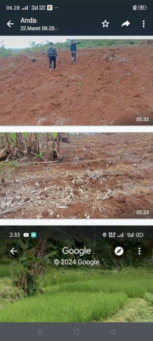 Di jual lahan tanah kebun di cipada Cikamuning Padalarang