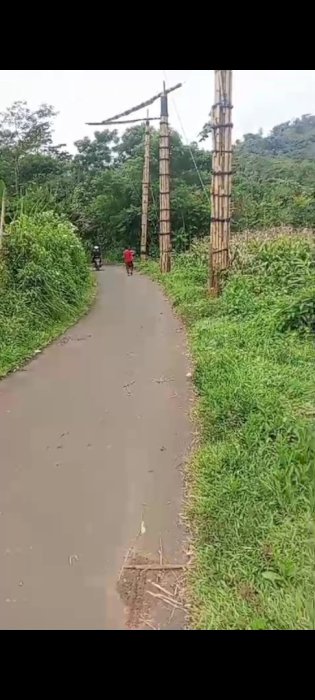 Jual kebun jagung pinggir jl truk dekat pasar cijenuk