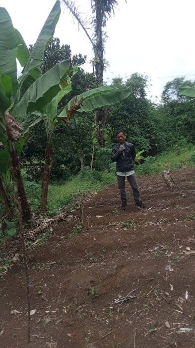 jual tanah  buat impes