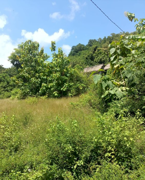 DIJUAL TANAH JIMBARAN BALI