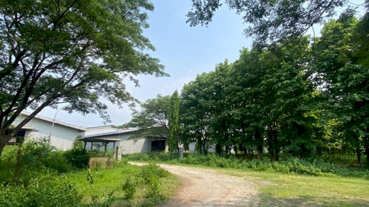 JUAL LAHAN STRATEGIS SAMPING JALAN TOL DI CIPALI SUBANG