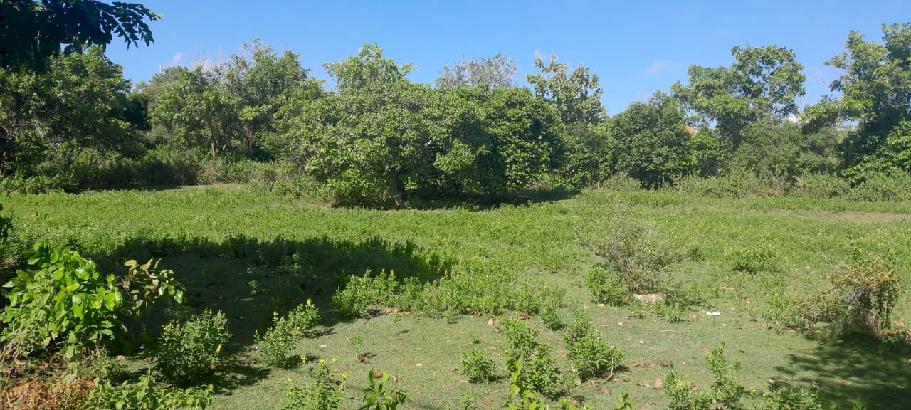 DIJUAL ATAU DI SEWA TANAH LUAS DEKAT PANTAI BALANGAN