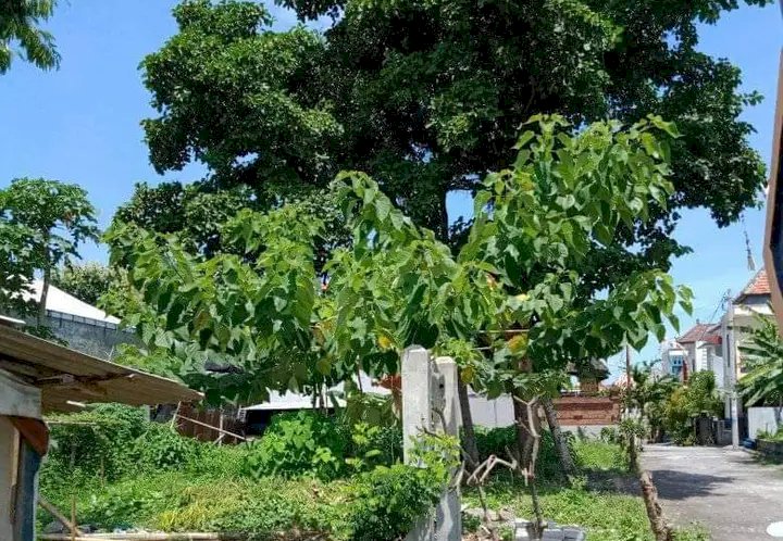 DIJUAL CEPAT TANAH LOKASI STRATEGIS KUTA UTARA