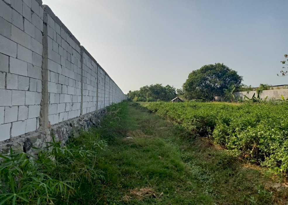 DIJUAL TANAH MURAH LOKASI STRATEGIS  DI TEGAL