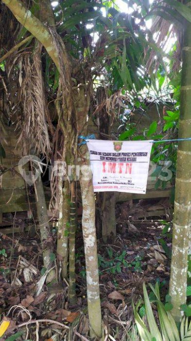 LAHAN KAVLING DAERAH JALAN POROS SAMARINDA BONTANG