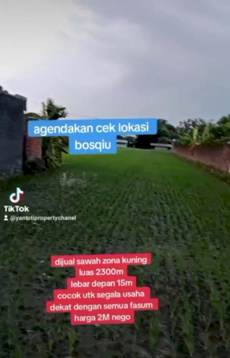 DIJUAL SAWAH ZONA KUNING LOKASI TELOYO WONOSARI
