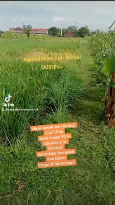 JUAL SAWAH ZONA KUNING 1,6 HA DI WONOSARI KLATEN
