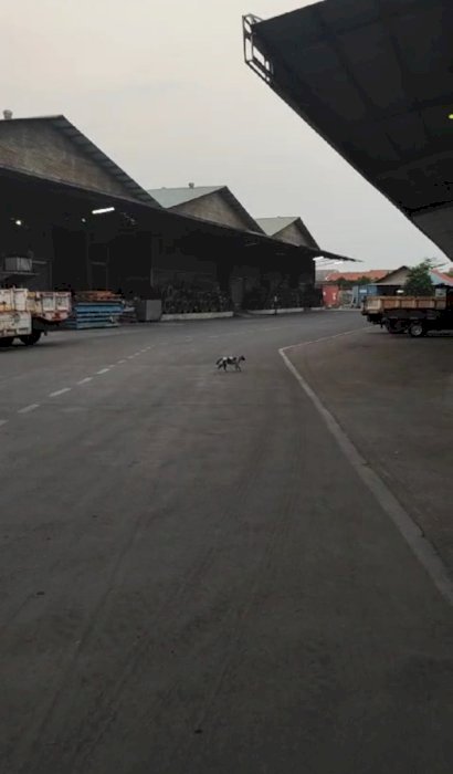 DIJUAL PABRIK AKTIF DEKAT BANDARA