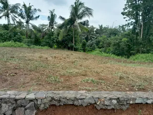 Jual Tanah Kavling dekat kampus UIN Baru Serang Banten