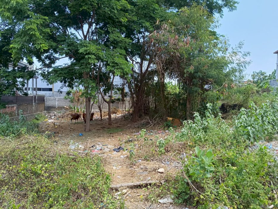 DIJUAL LAHAN DENPASAR BARAT