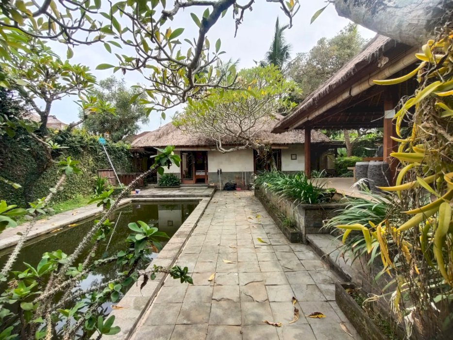 DIJUAL MURAH VILLA TIMUR UBUD
