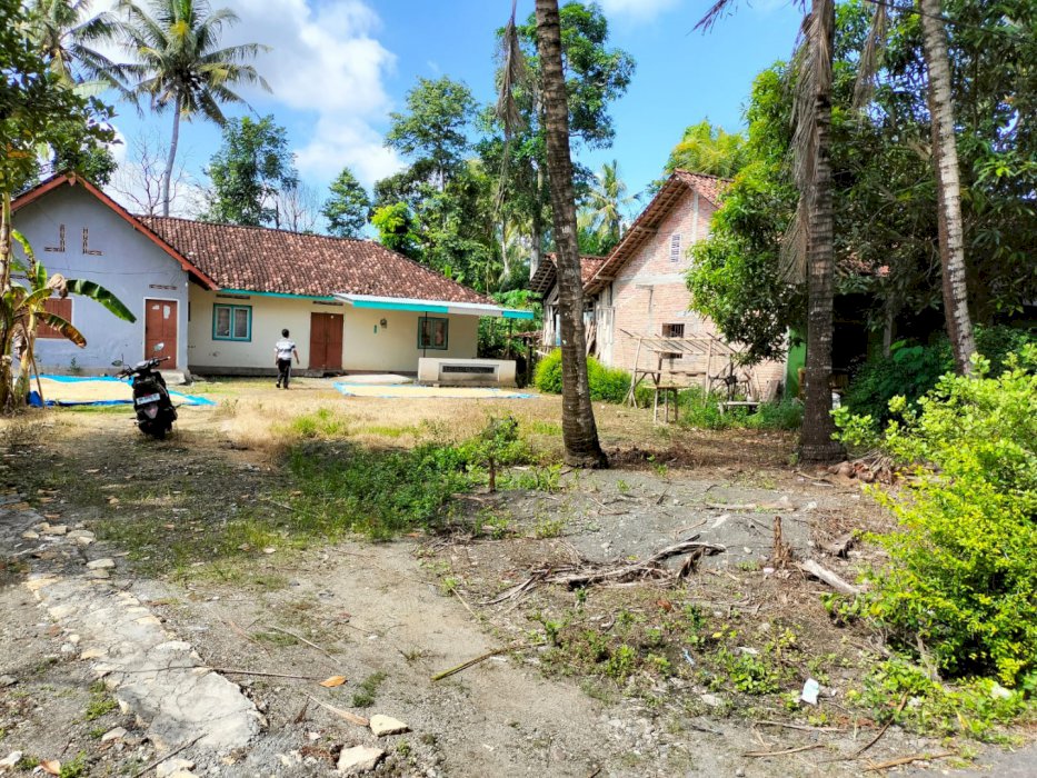 Jual Tanah Murah Bonus Rumah di Wates Kulon Progo