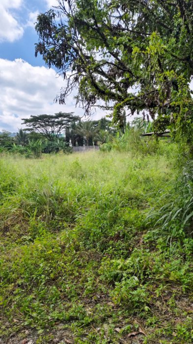 Jual tanah strategis gratis bangunan bekas pabrik jamur diciawi,bogor