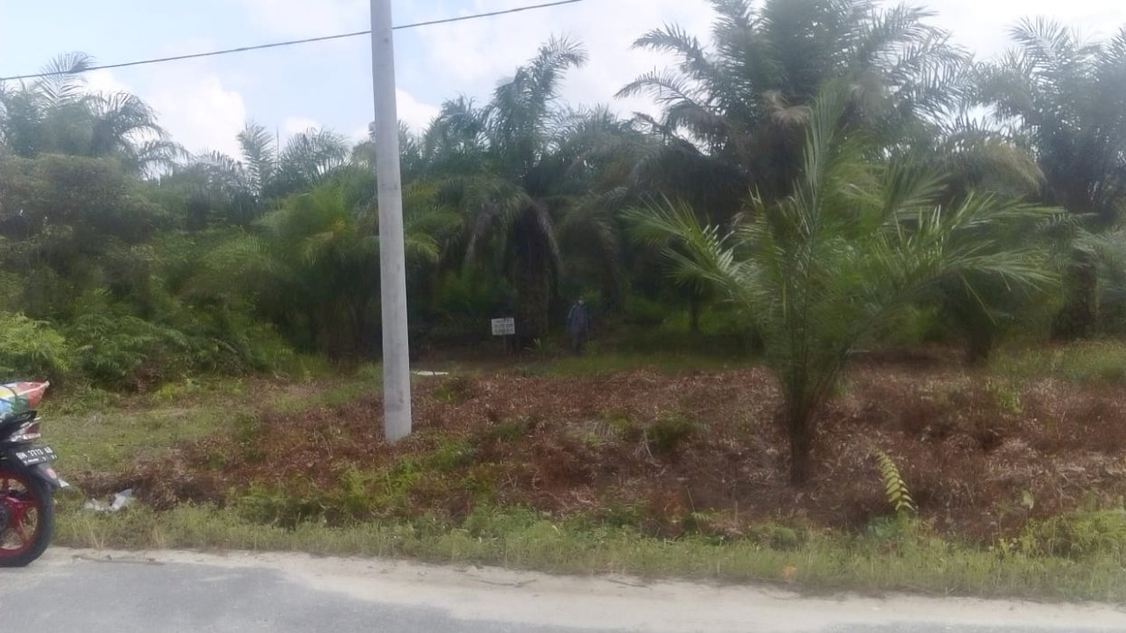 DIJUAL TANAH MURAH DI JALAN DAMAI PALAS RUUMBAI PEKANBARU