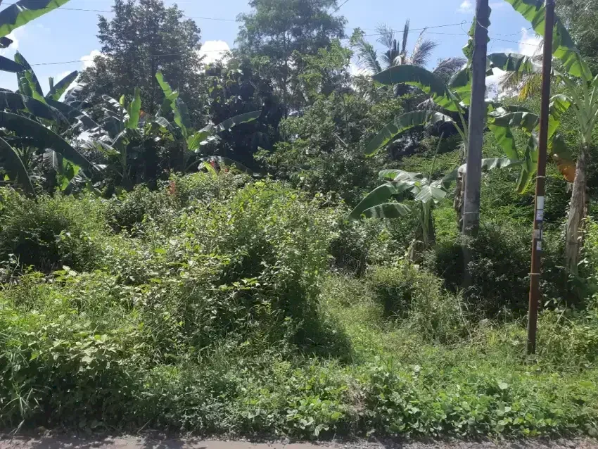 Di jual sebidang tanah pinggir jalan