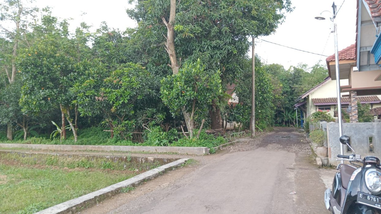 DI JUAL TANAH DAERAH DUKUH JATI LUAS 40 BATA ATAU 5720 M2