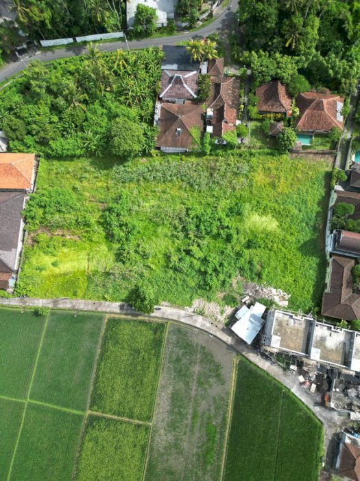 DISEWAKAN TANAH DEKAT PANTAI KEDUNGU