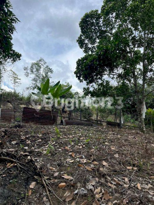 TANAH DAERAH AW SYAHRANIE