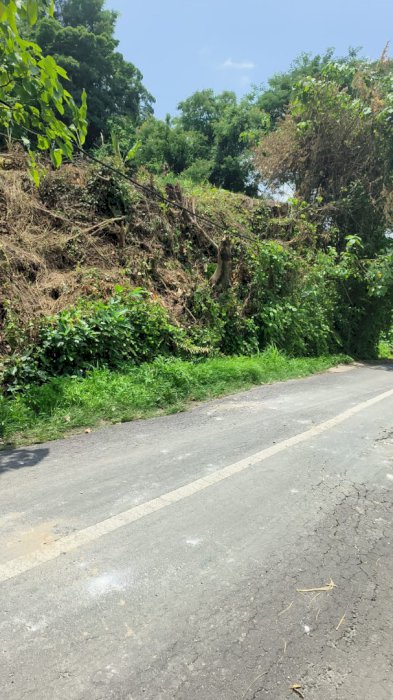 JUAL TANAH LOKASI STRATEGIS UBUD GIANYAR BALI