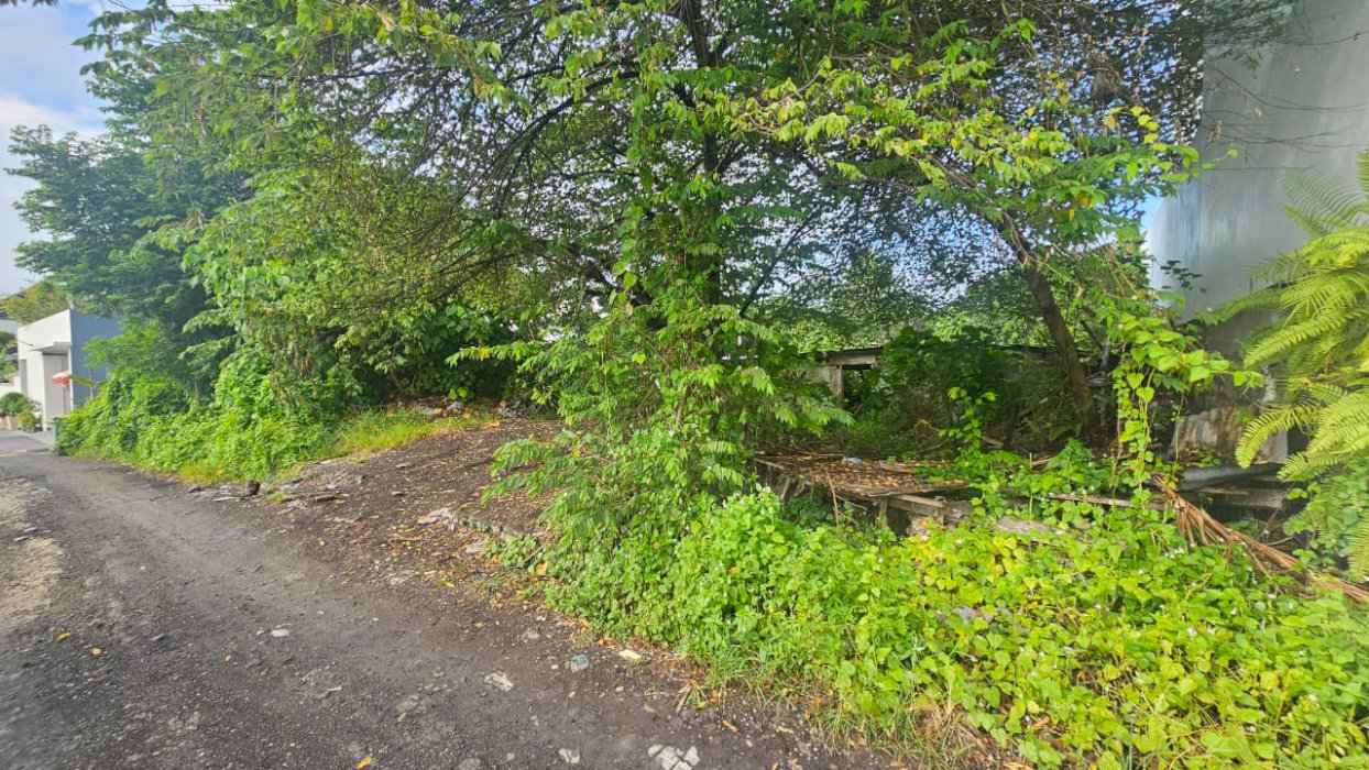 DIJUAL TANAH CANGGU LAHAN STRATEGIS