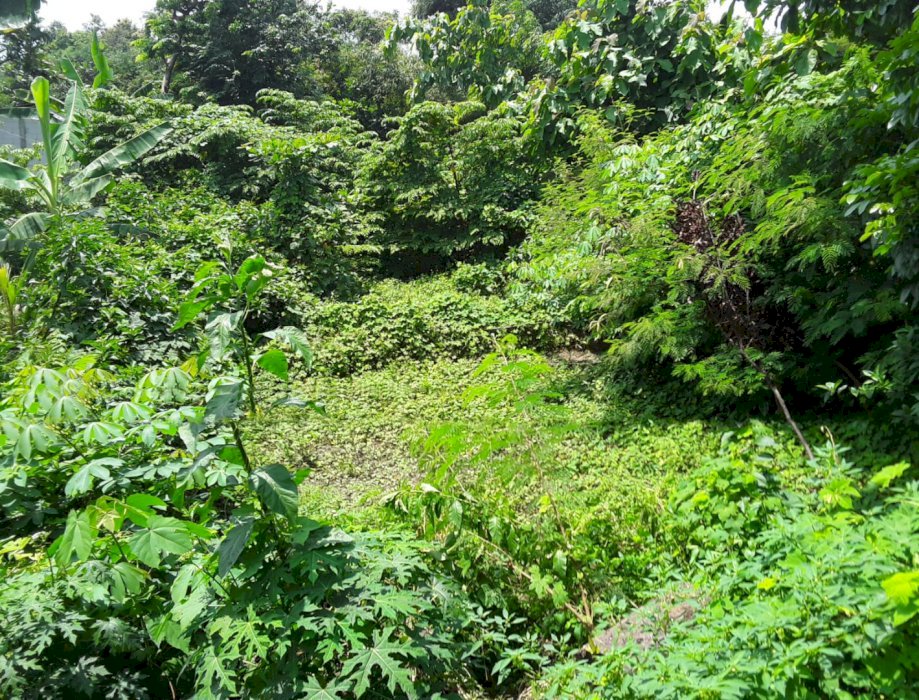 DIJUAL TANAH MURAH STRATEGIS DI PEDURUNGAN SEMARANG