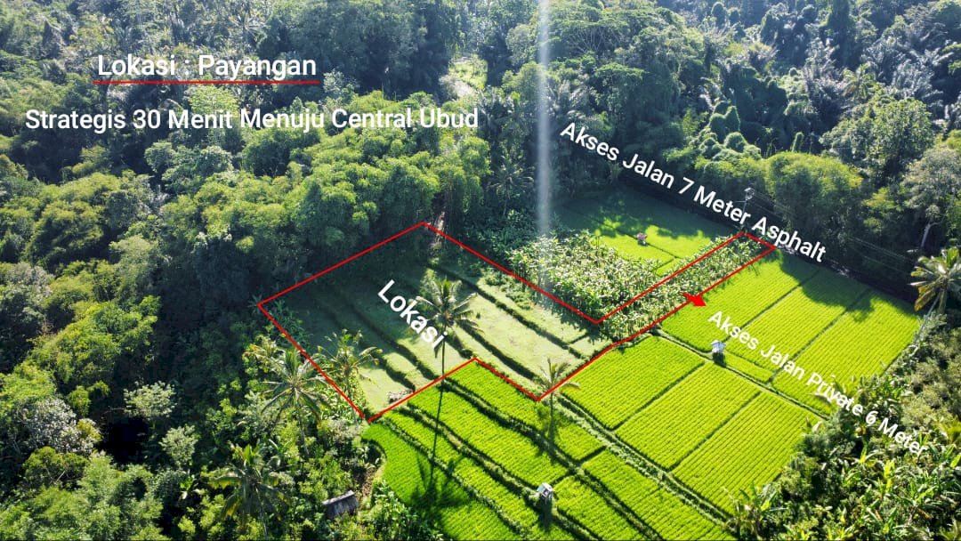 DI JUAL TANAH PEMANDANGAN SAWAH DAN PEPOHONAN SEJUK DI UBUD BALI