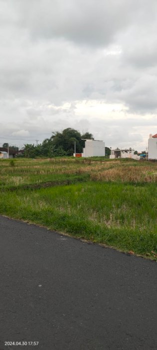 DISEWAKAN LAHAN BAGUS CEPAKA TANGEB BADUNG BALI