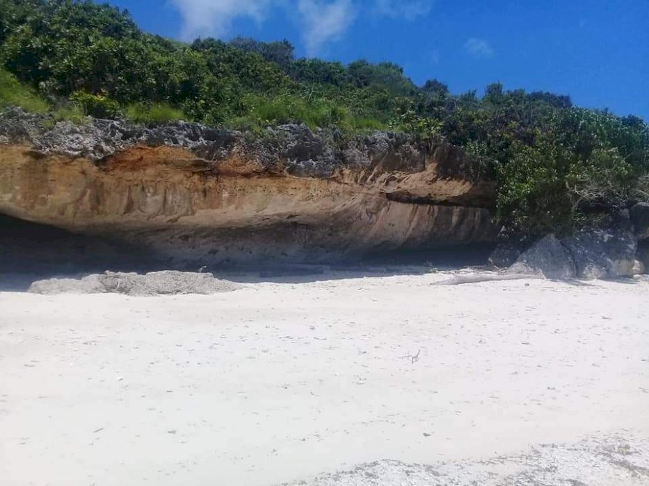 DIJUAL TANAH LOS PANTAI PASIR PUTIH SUMBA TIMUR NTT