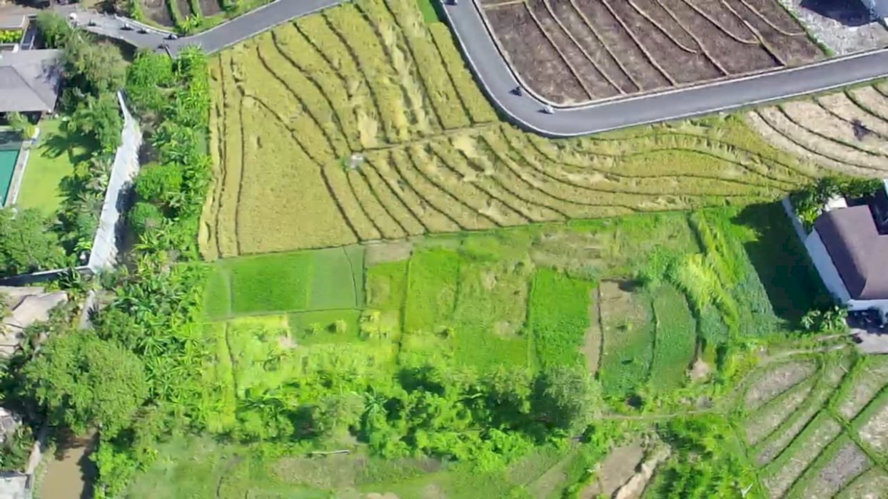 DIJUAL TANAH CANGGU KUTA UTARA BALI