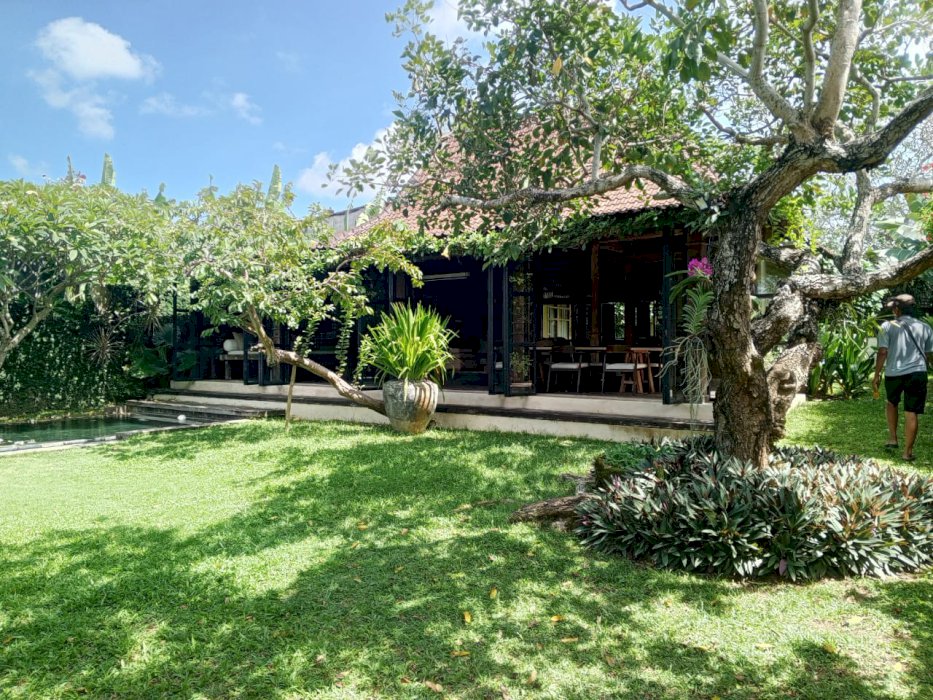 DIJUAL CEPAT TANAH MURAH LOKASI BABAKAN CANGGU BALI