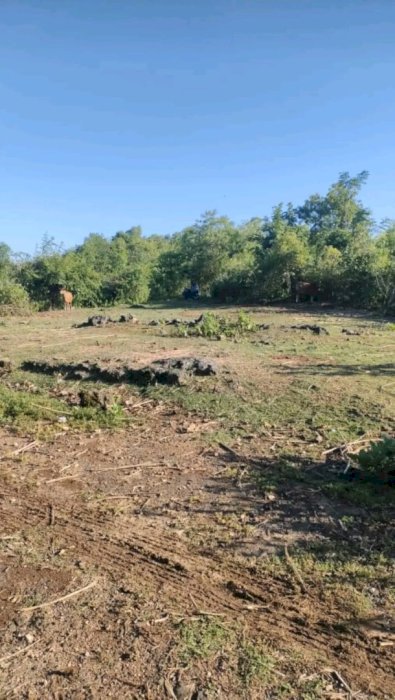 TANAH DI JUAL LOKASI STRATEGIS UNGASAN BALI