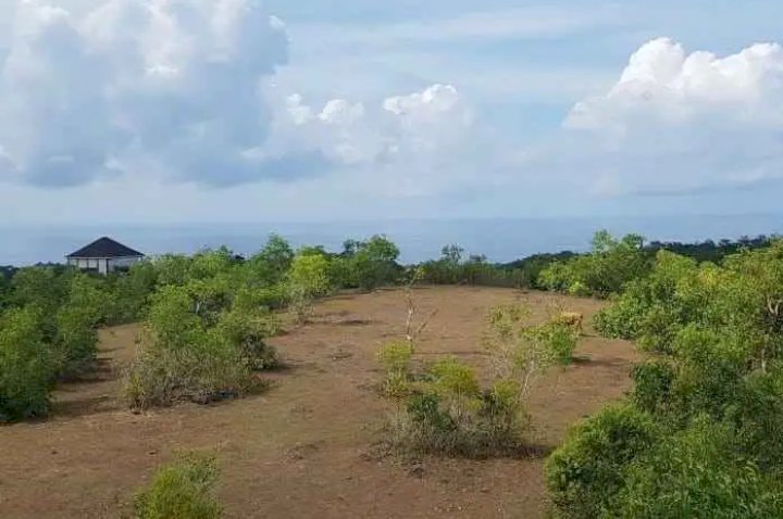 DIJUAL TANAH PEMANDANGAN LAUT AREA PECATU BALI