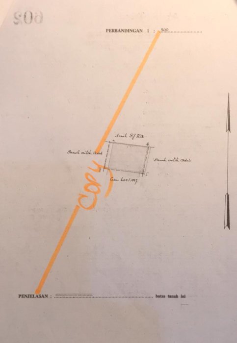 Jual rumah burung walet