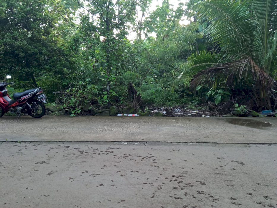 DI JUAL TANAH MURAH DI JALAN PARANGTRITIS 500 JUTA NEGO