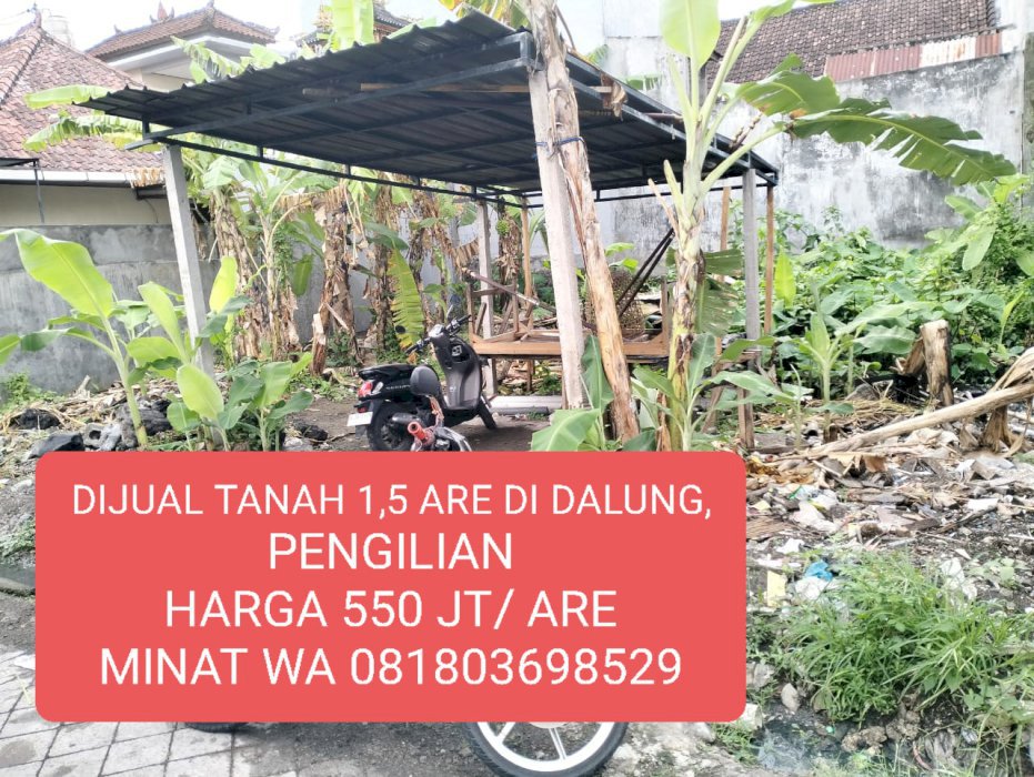 Tanah 1,5 are di Dalung, Pengilian
