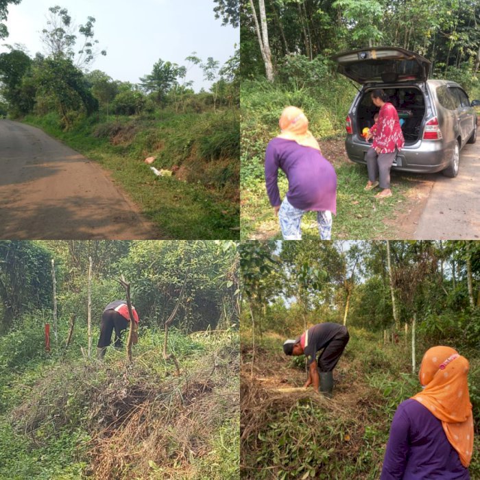 DI JUAL TANAH LUAS 1100 METER2 DEKAT PASAR JASINGA BOGOR