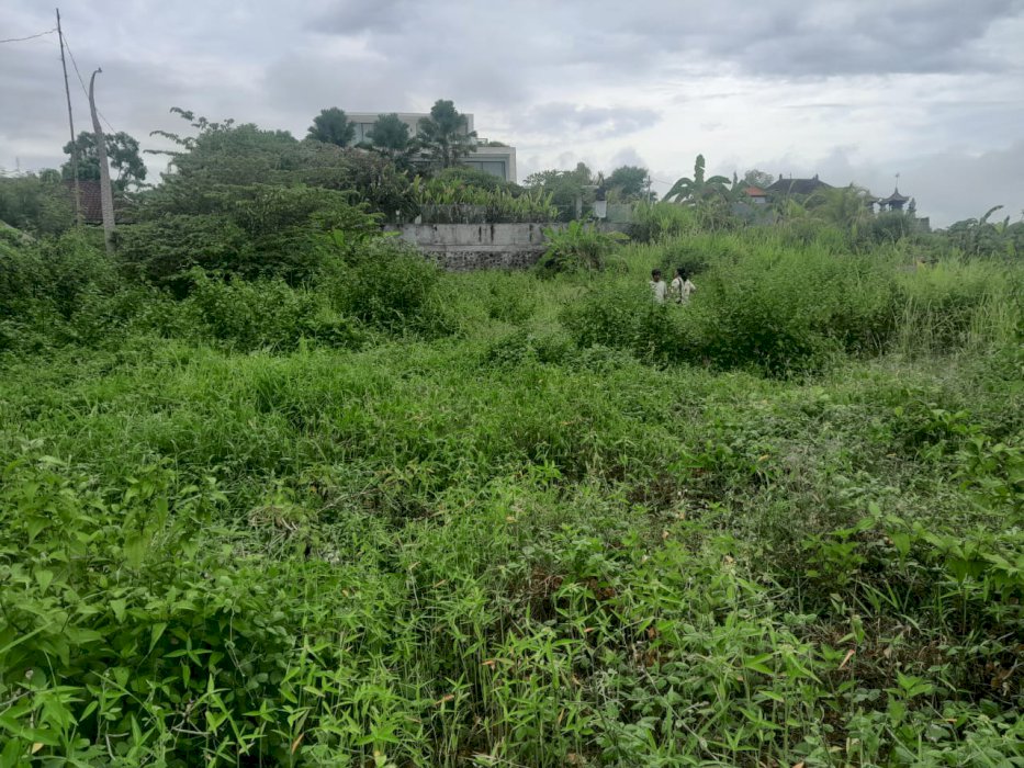 JUAL TANAH KOSONG DAERAH KERAMAS GIANYAR BALI