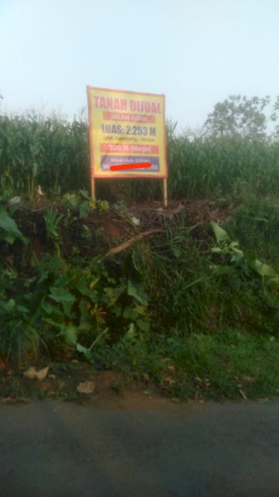 DIJUAL TANAH MURAH DI MALANG JAWA TIMUR